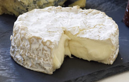 Tunworth Camembert Cheese